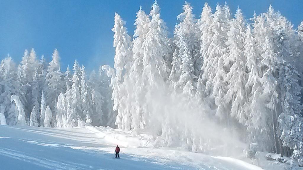 Weitgasserhof Schladming Exteriör bild